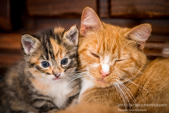Mama and daughter