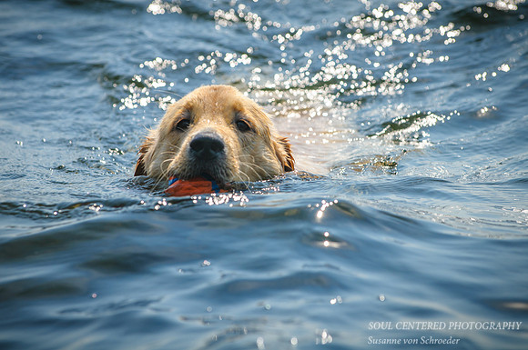 Cooling off