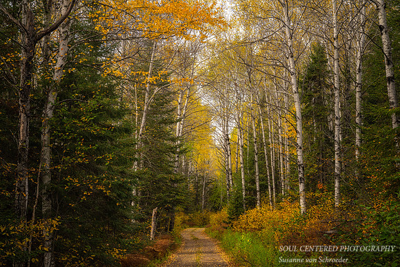 Fall drive to Partridge Falls 1