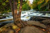 Bond Falls, Upper cascades, with tree