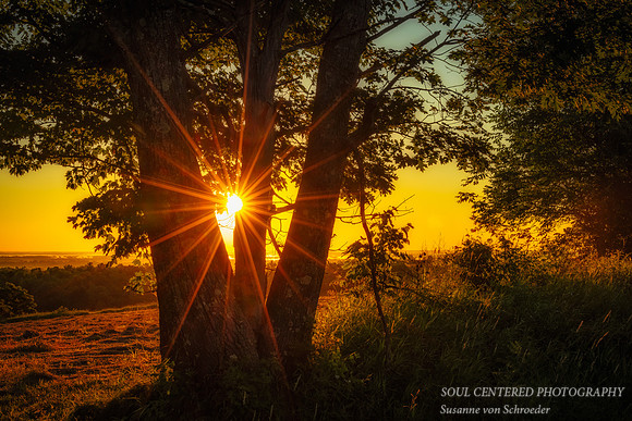 Sunrise in July 3