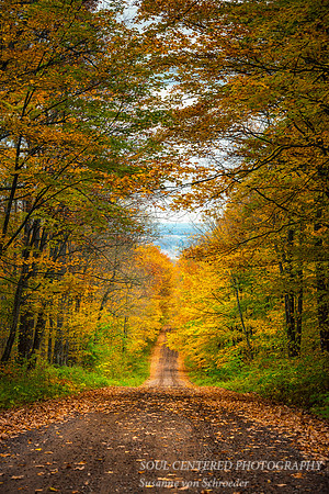 Downhill Road, Blue Hills