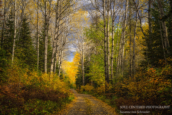 Fall drive to Partridge Falls 2