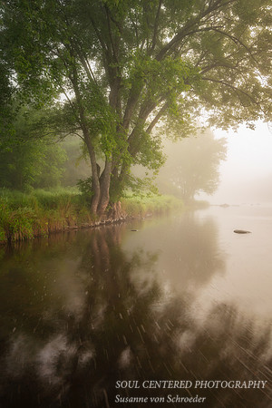 Foggy morning at the Chippewa River 1