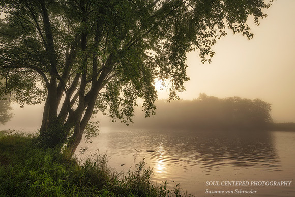Foggy morning at the Chippewa River 4