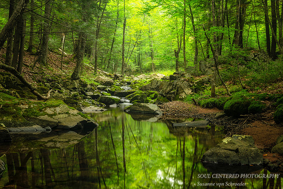 Refreshing summer scene in the Blue Hills 1, 8.'18