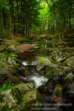Refreshing summer scene in the Blue Hills 2, 8.'18