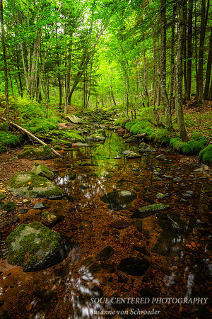 Refreshing summer scene in the Blue Hills 3, 8.'18
