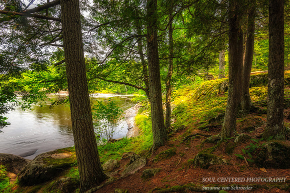 At Slough Gundi, Flambeau River 2