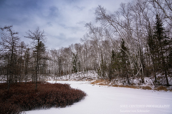 Cloudy winter day at Audie Lake 1