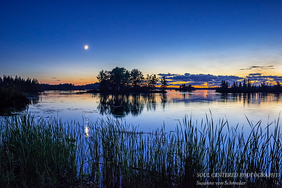 Setting moon at the Chippewa Flowage