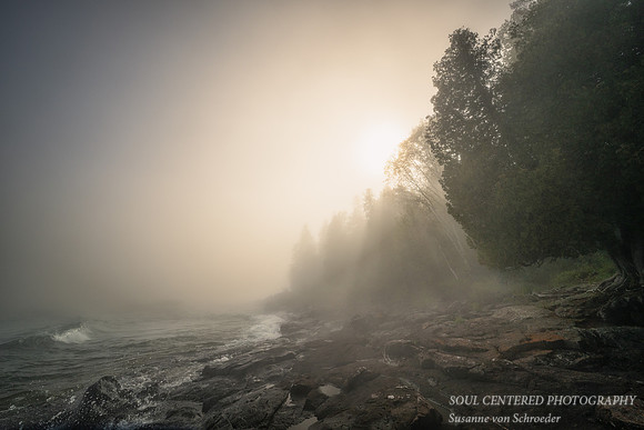 Foggy morning, Cascade River state park, June '24