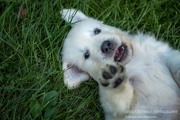 Shanti - Hi!