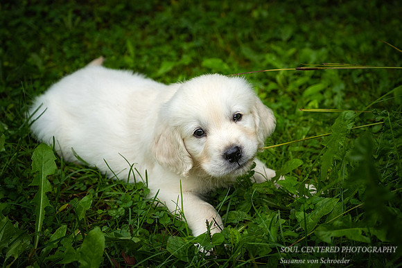 Chewing on everything 2