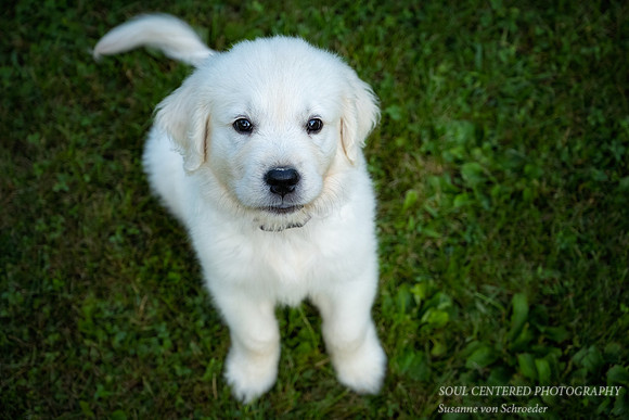 Yes? Shanti, 9 weeks 7