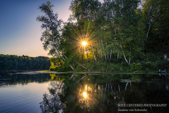 Summer reflections, Audie Lake, sun star