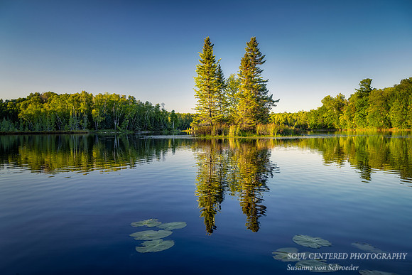 Summer reflections, Audie Lake, island