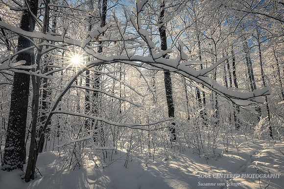 Fresh snowfall and sun star