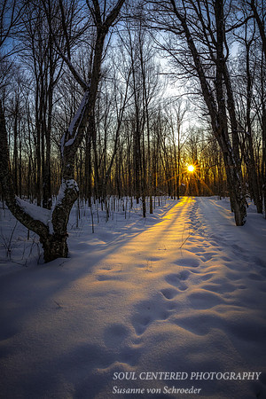 Snowy path at sunset