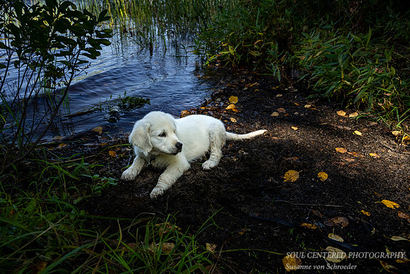Shanti in mud at Black Lake 1