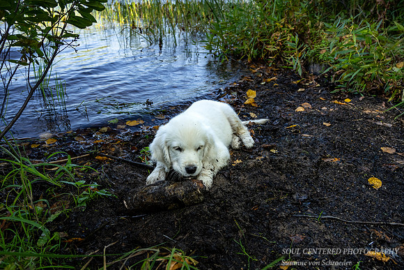Shanti in mud at Black Lake 3