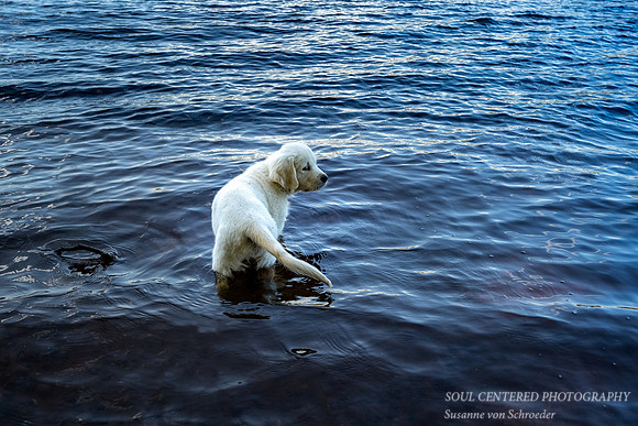 Shanti likes the water