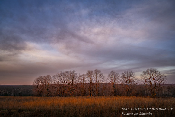 November sunrise, soft colors in the west