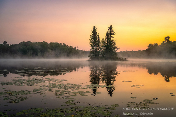 Foggy dawn, Audie Lake, July '21