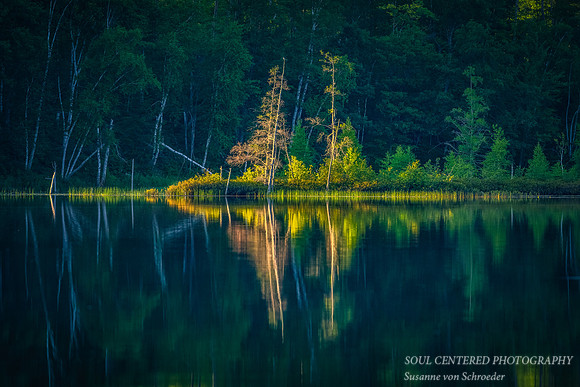 Evening light at Audie Lake 1