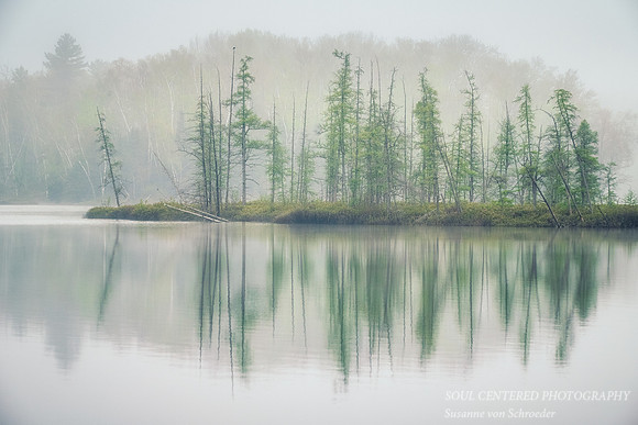 Foggy morning reflections, bog at Audie Lake 1