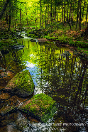 Creek with reflections, May 25, '20 1