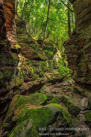 _DSC2939a