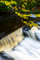 Upper Cascades with branch