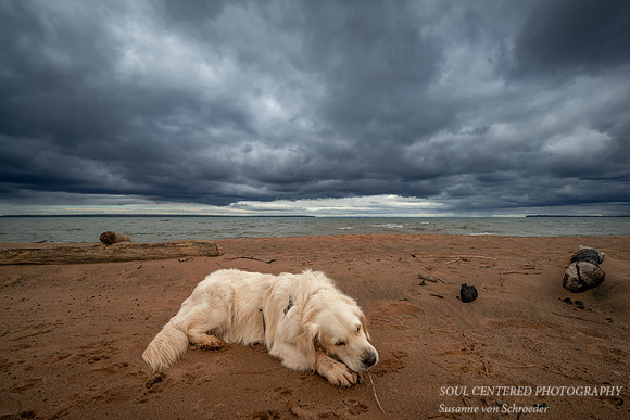 Shanti at Lake Superior, Nov. '23 2