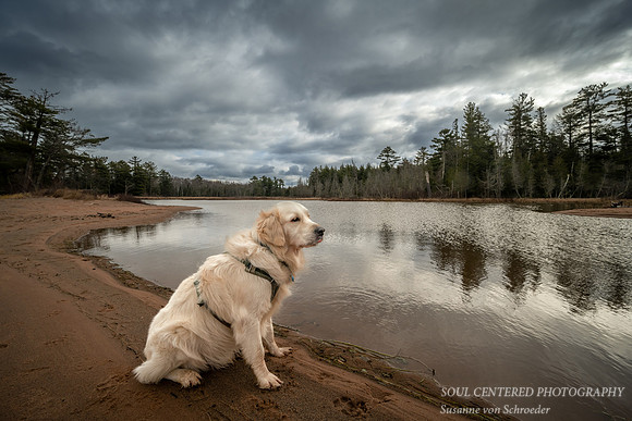 Shanti at Lake Superior, Nov. '23 3