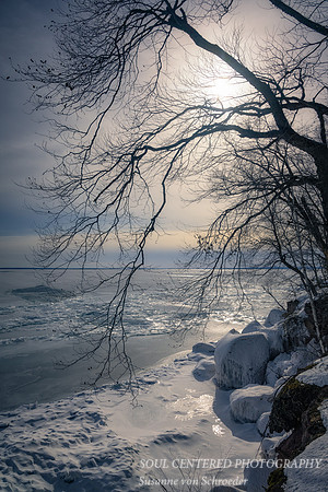 Winter scene, warm light, Madeline Island, March '22 2