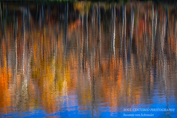 Colorful reflections, abstract nature art