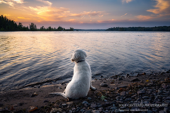 Shanti enjoying the view