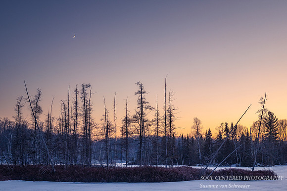 Lovely evening with a sliver of the Moon, Dec. 2020