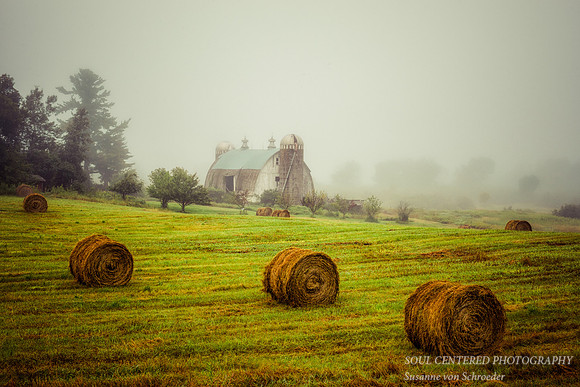 Barn with 2 silos
