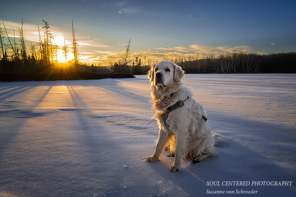 Shanti at sunset, Dec. '23