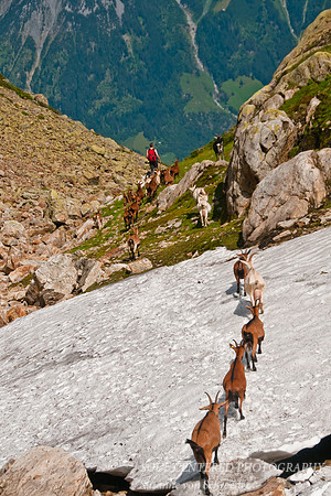 Arni Alm 10