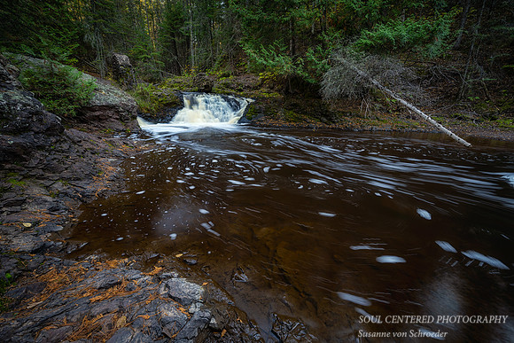 _DSC6781z
