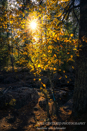 Fall at Amnicon Falls State park, Oct. '21 1