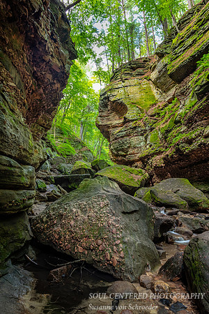 _DSC2896a
