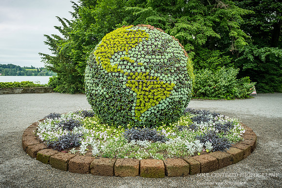 Floral planet Earth