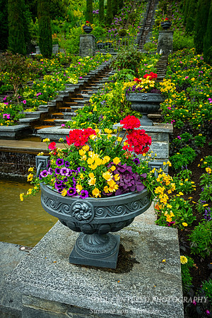 Flower pot, Insel Mainau