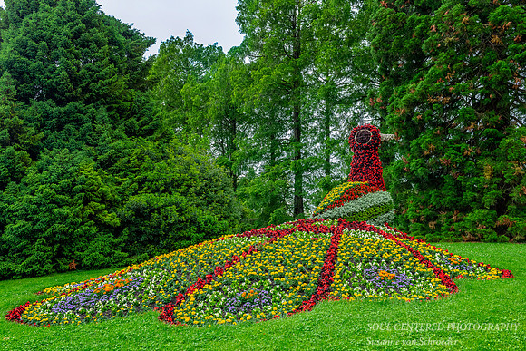 Floral Peacock, Insel Mainau