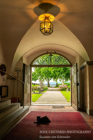Museum entrance with cat