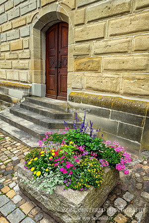 Flowers in Ueberlingen